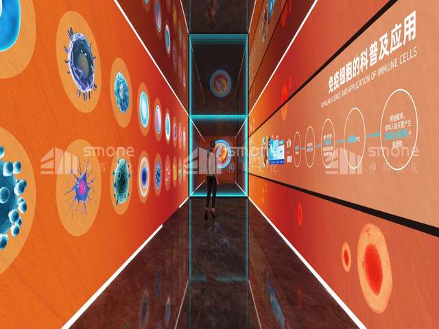 宁波有哪些钢支撑规格