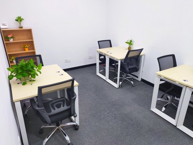 广东巴斯夫Luvitec k30 powder