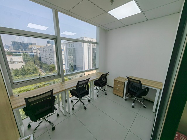 湖北省电蔬菜自动包装机设备