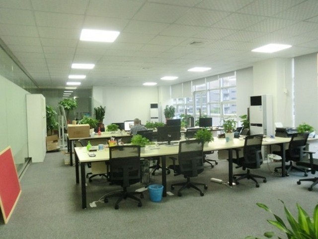 珠海正规鼠尾胶原厂家推荐