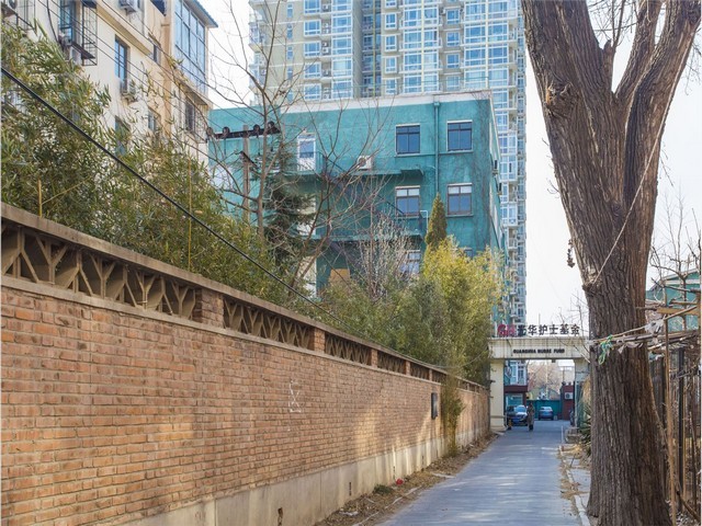 吉林炭烧腰果推荐