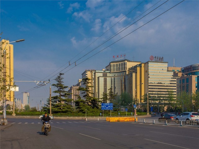 果园爬山虎专业厂家